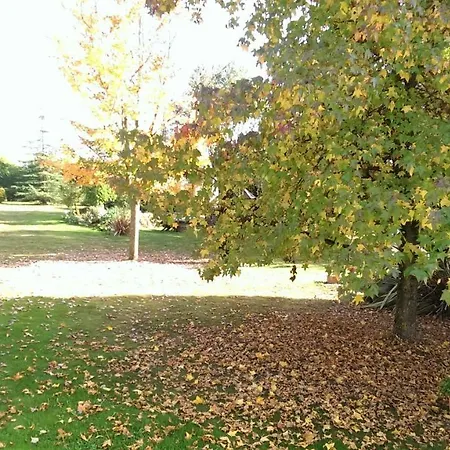 Los Arces Holiday home Elosu