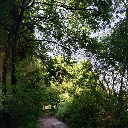 Holiday home Los Arces *