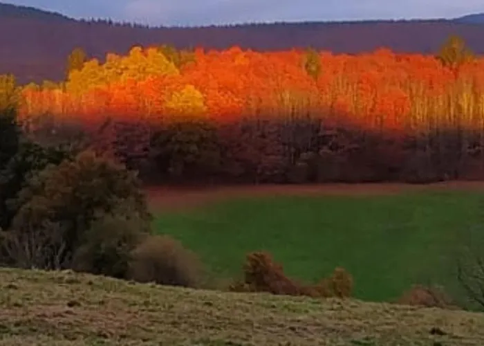 Casa de Férias Arces