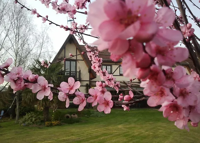 Arces Casa de Férias Elosu