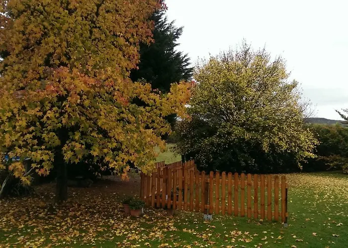 Casa de Férias Arces