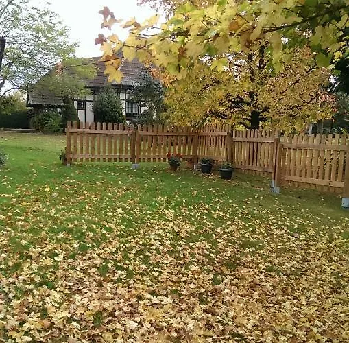 Casa de Férias Arces