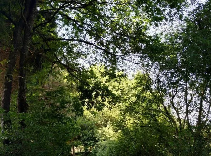 Casa de Férias Arces *