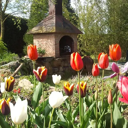 Arces Vakantiehuis Elosu