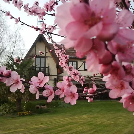 Los Arces Ferienhaus Elosu